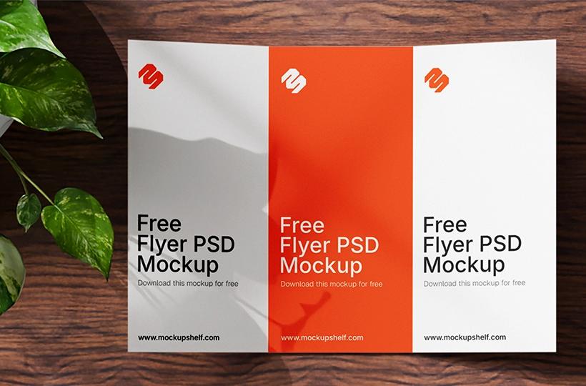 Free Tri Fold Flyer Mockup PSD – top view of two A3 flyers on table with potted creepers | MockupShelf