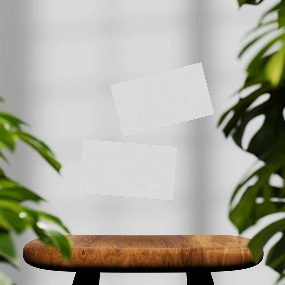 Business-card-mockup-00027-blank