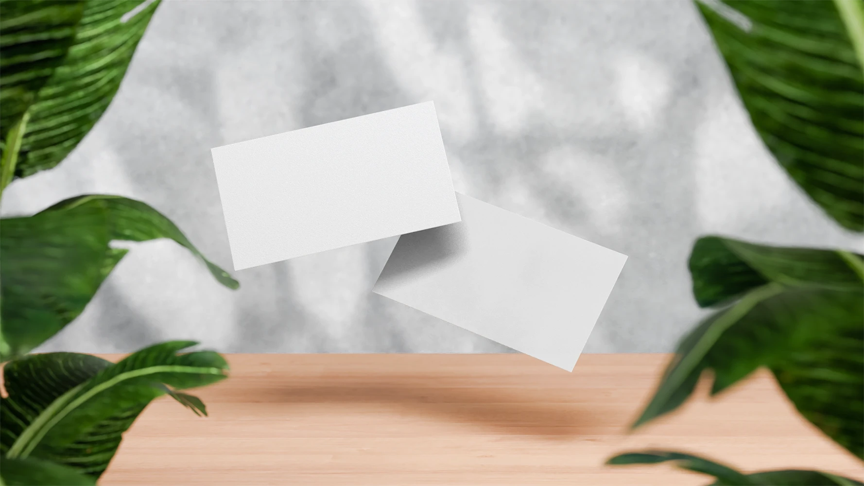 Business-card-mockup-00030-blank