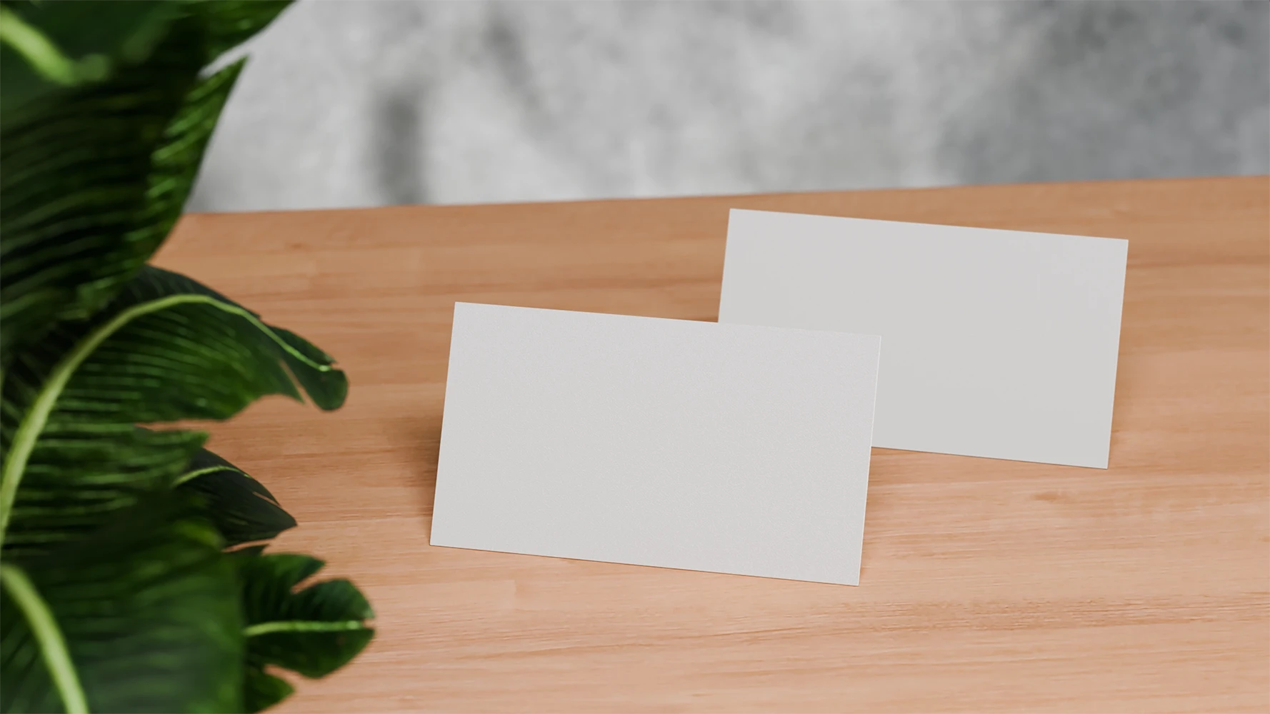 Business-card-mockup-00031-blank