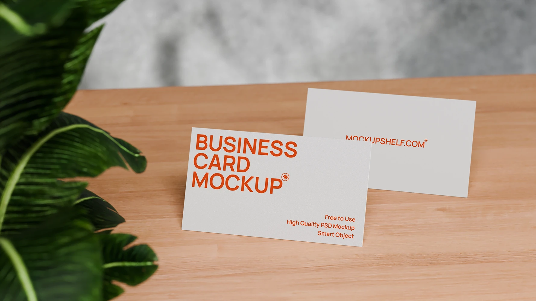 Business-card-mockup-00031