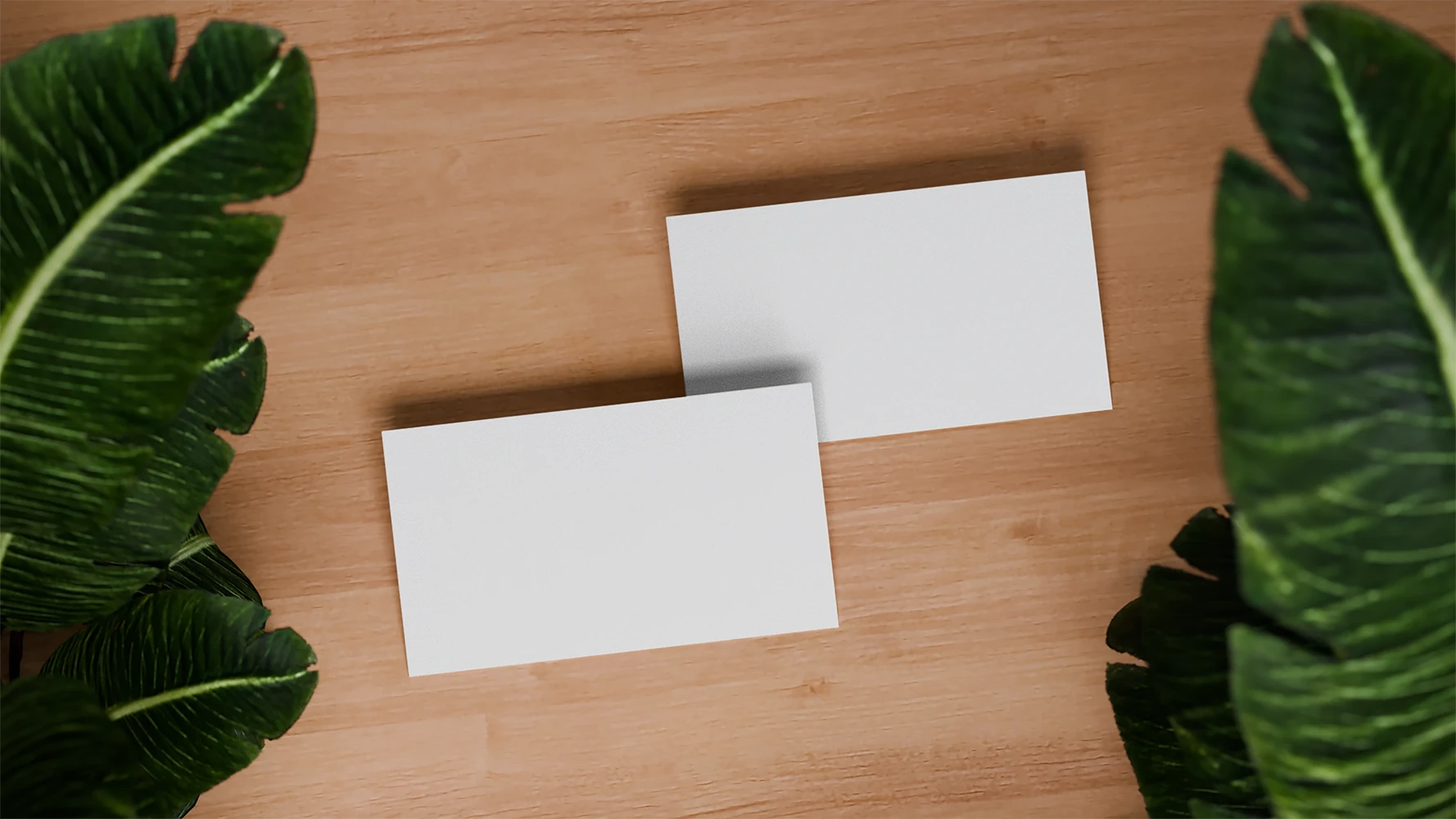 Business-card-mockup-00032-blank