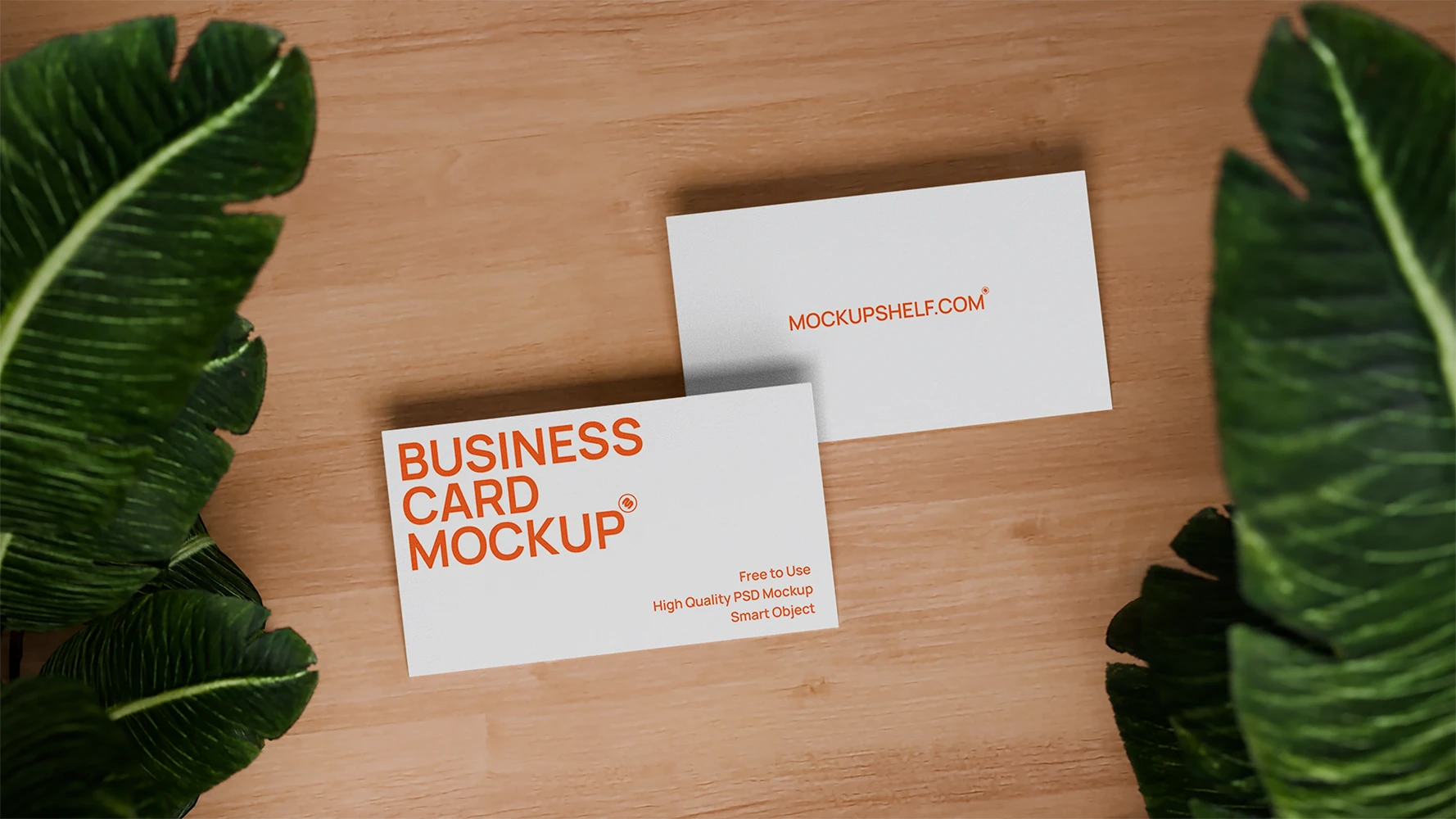 Business-card-mockup-00032